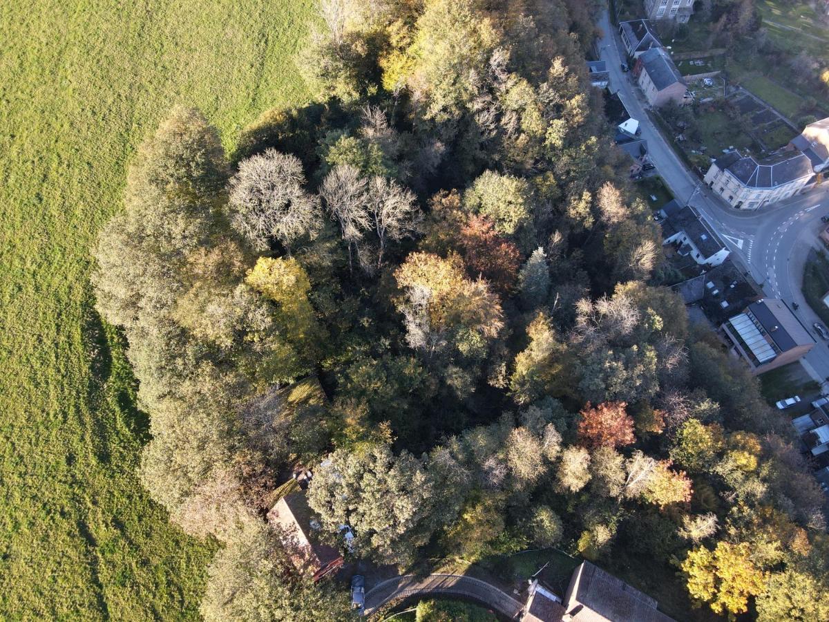 Gites Douillets A L'Oree Des Bois. Houyet Exteriör bild