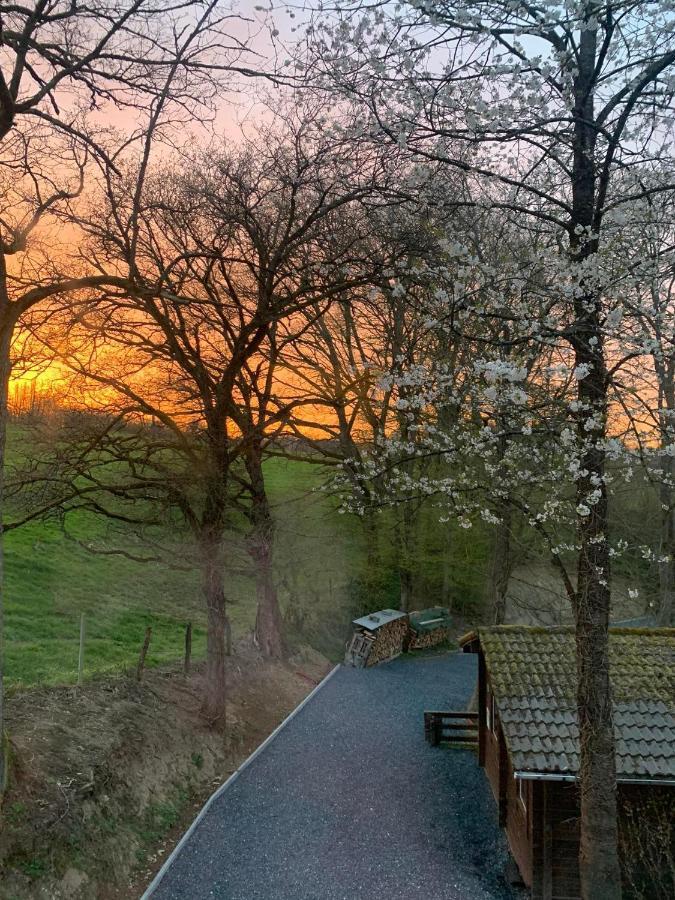 Gites Douillets A L'Oree Des Bois. Houyet Exteriör bild